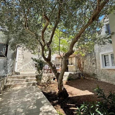 Apartment Brac *